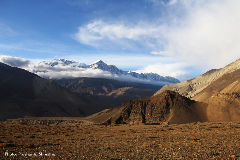 mustang-prashanta-7